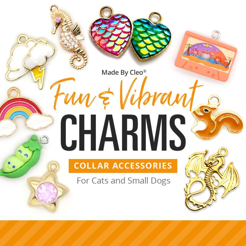 2024 MBC Charms Update Fun Vibrant August 2024