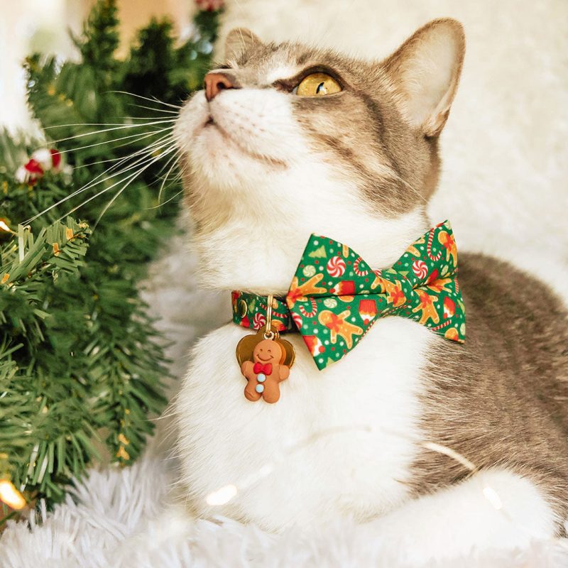 ChristmasTreatsGreen CatModel 869A3317 WEB1X1