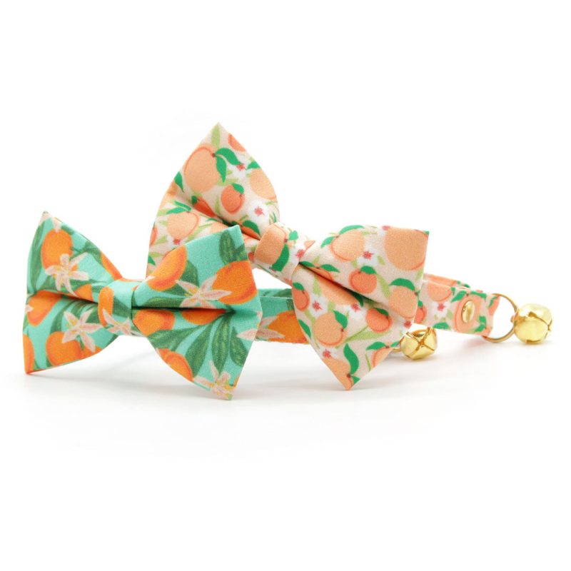 Group JustPeachy ClementineBlossom BowTieCollar 69519ad1 f2e6 4d25 875d 482691fbad06