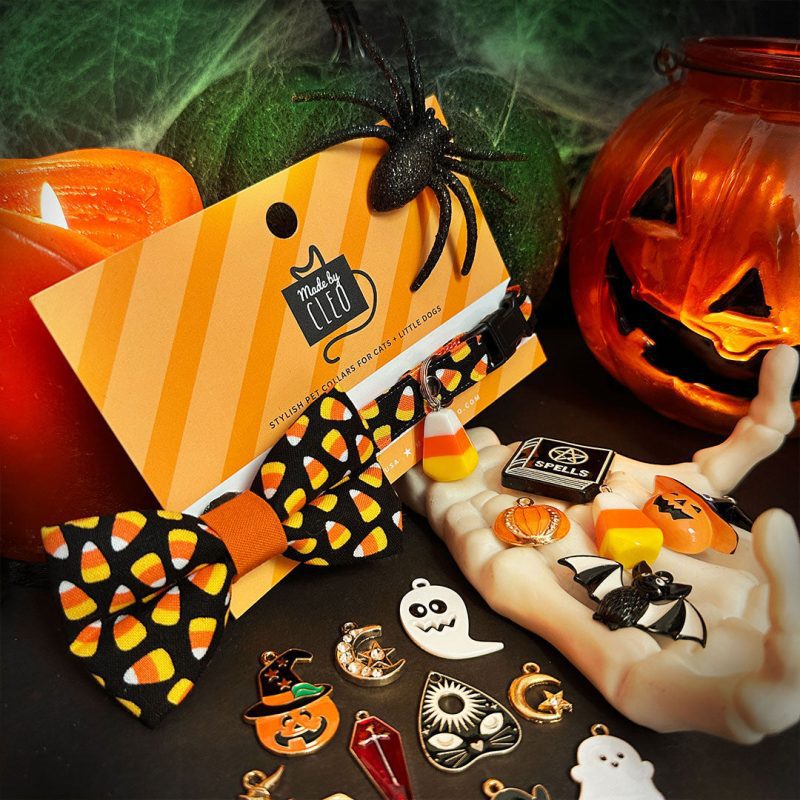 Halloween 2024 Charms Styled web 1x1 1b1530d7 62d9 4e15 8778 8ac562476e3b