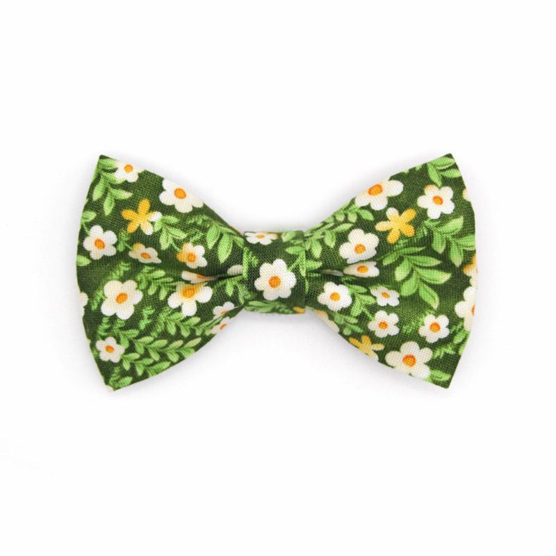 Hazel BowTie