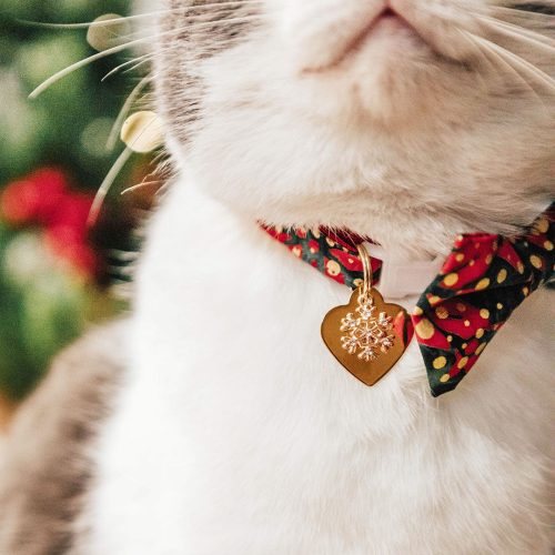 Joy BowTie IDTag SnowflakeCharm CatModel