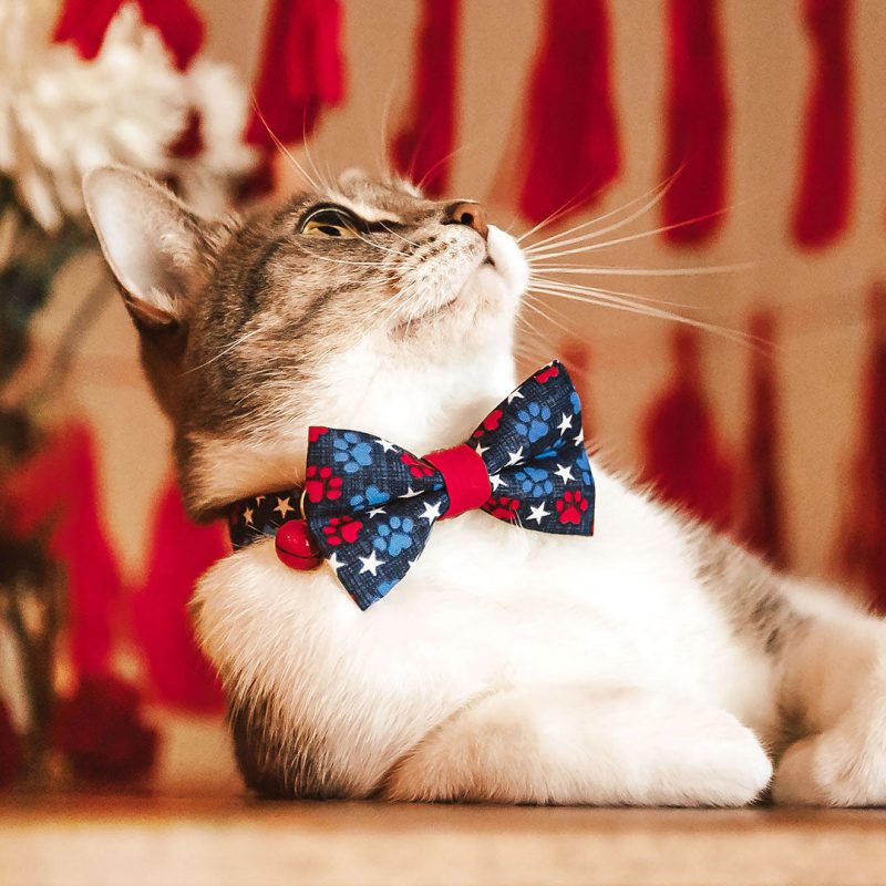 PatrioticPaws CatModel BowTie 2 1080