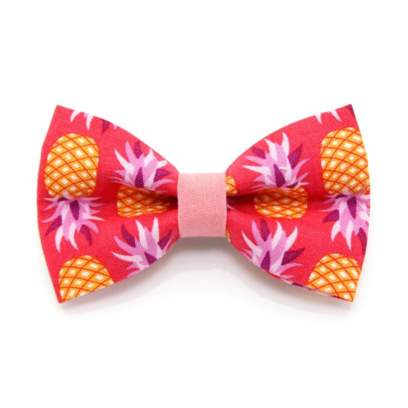 PineappleBerry BowTie