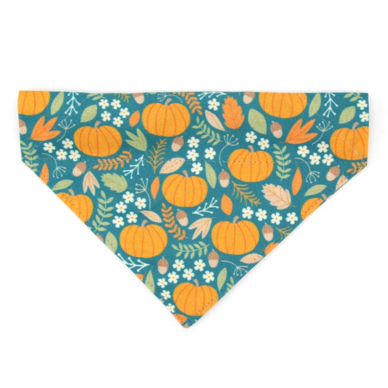 PumpkinPatch Bandana