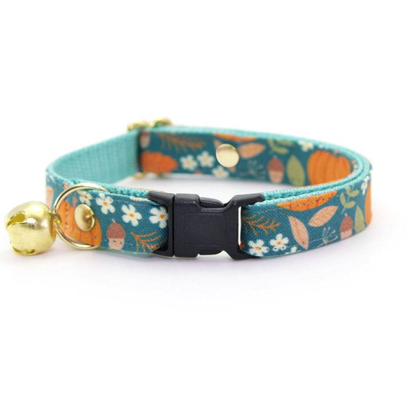 PumpkinPatch Teal Collar min