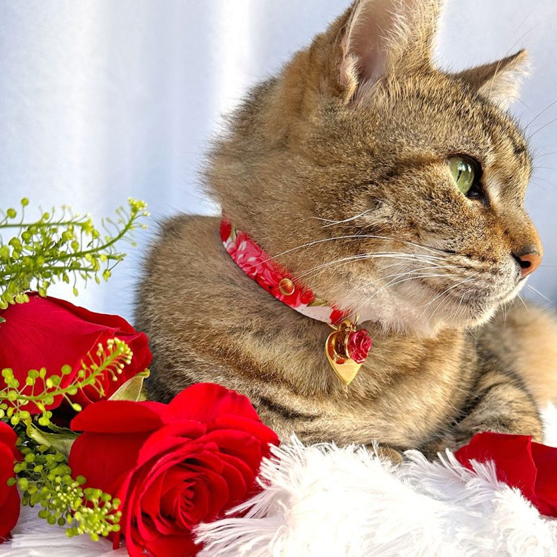 Roses CharmPairing Rose HeartIDTag CatModel