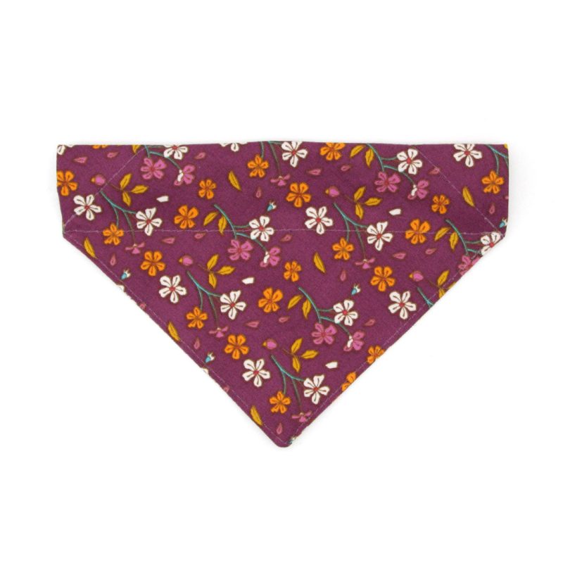 SpicedPlum Bandana