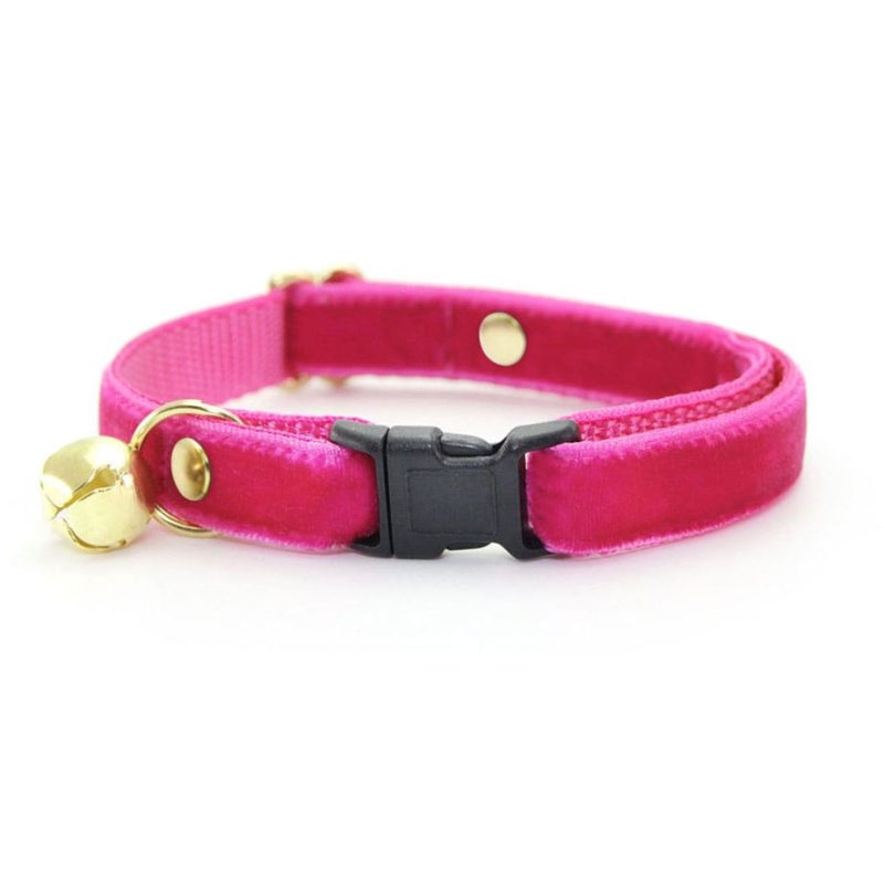 Velvet Azalea Pink Collar2 min