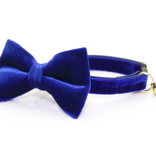 Velvet Blue BOWTIECOMBO Blue