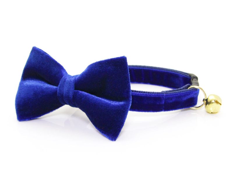 Velvet Blue BOWTIECOMBO Blue