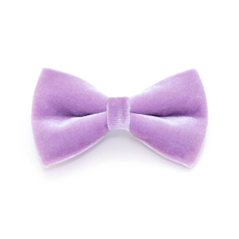 Velvet Lavender BowTie