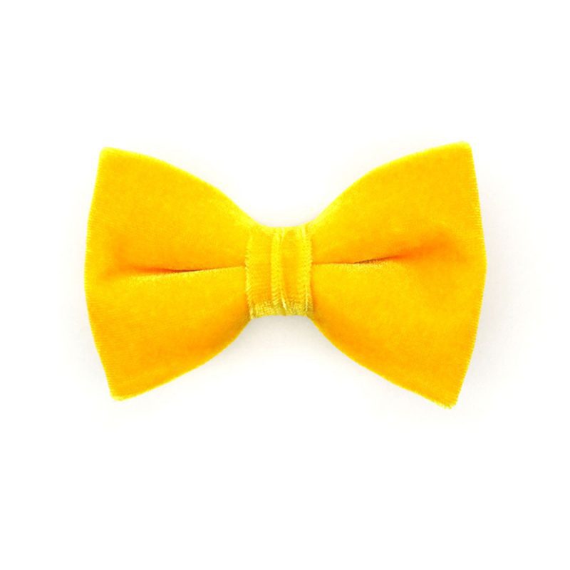 Velvet Marigold Bow Tie NEW