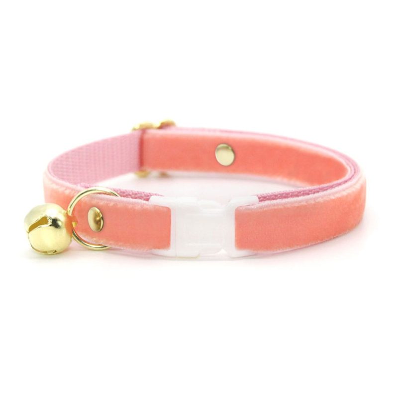 Velvet Peach CoralPink Collar2 min