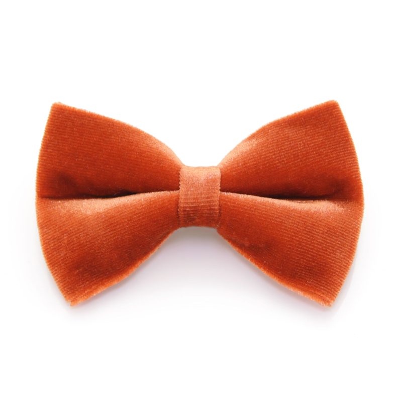 Velvet RoastedPumpkin BowTie