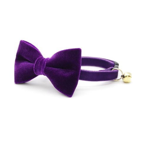 Velvet Royal Purple Bow Tie Collar e357715f 5f0d 4a0e 87a2 1a406e6f8ea6