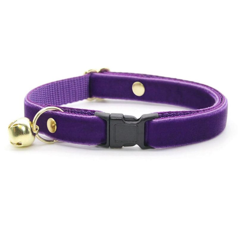 Velvet Royal Purple Collar2 min