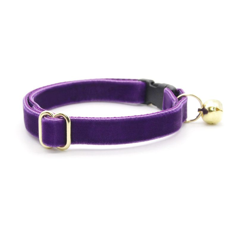 Velvet Royal Purple Collar3 563ba651 6f76 40f6 8235 d748675246bb