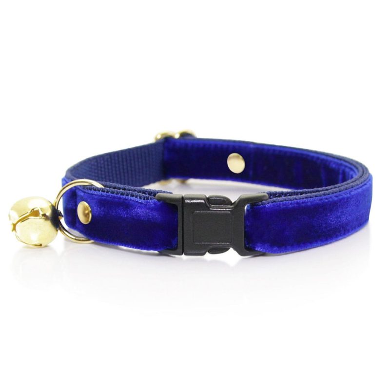 Velvet SapphireBlue Collar2 min