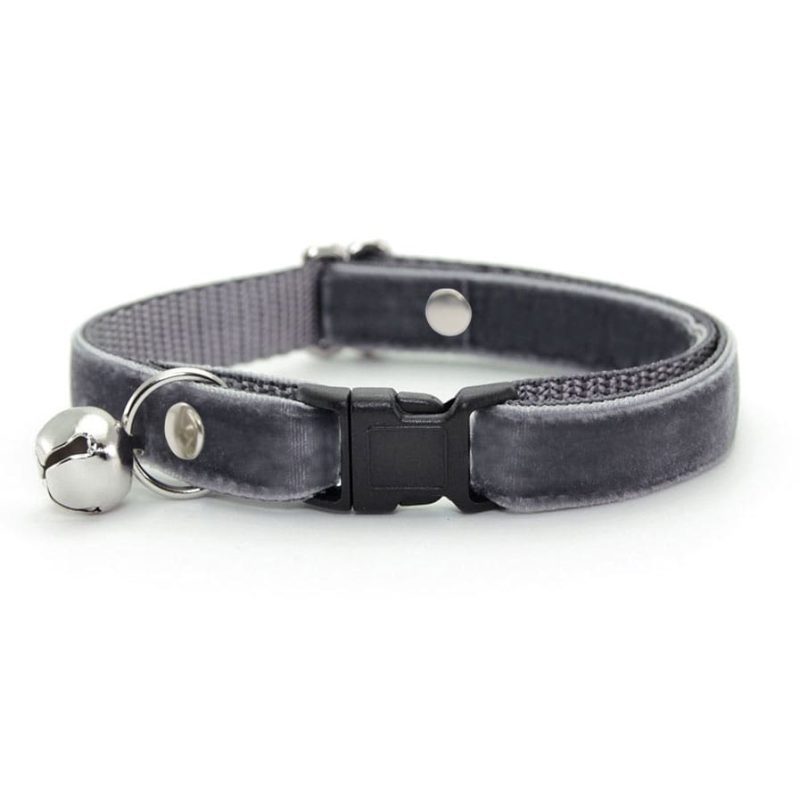 Velvet Storm Gray Collar2 min