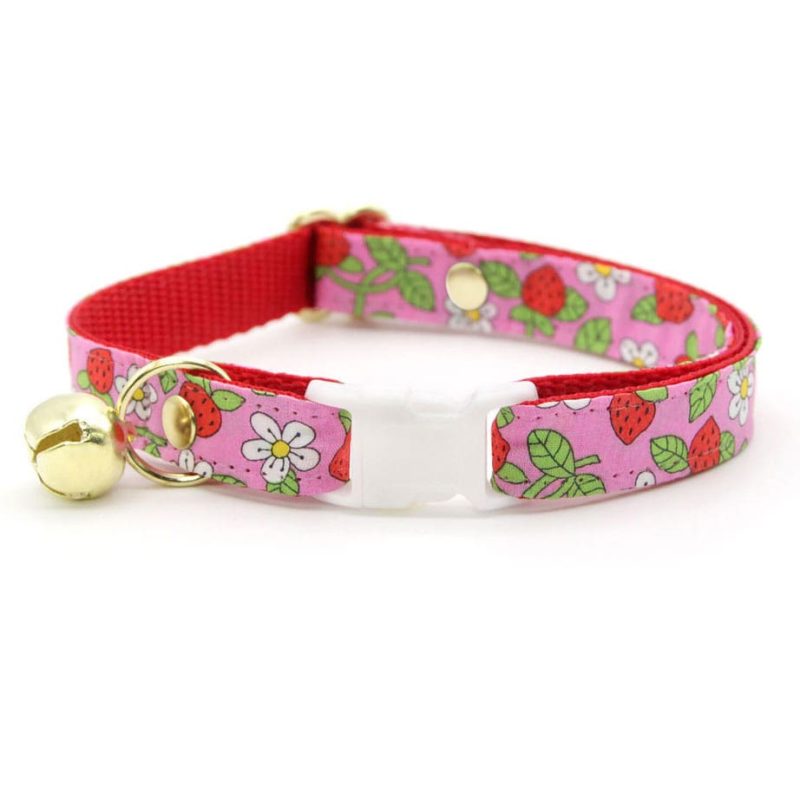 WildStrawberryPink Collar2 min