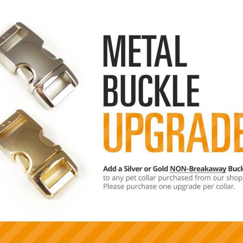 pet collar upgrade metal buckle upgrade gold or silver add to any collar order 1