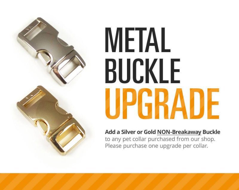 pet collar upgrade metal buckle upgrade gold or silver add to any collar order 1